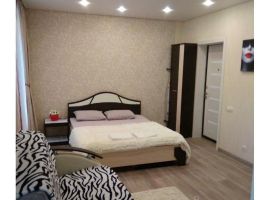 Студия Пензенская область, Пенза Ладожская ул., 112Б (30.0 м²) - . Пенза - фото 4