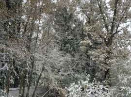 4-к. дом, 200 м² - . Краснознаменск - фото 9
