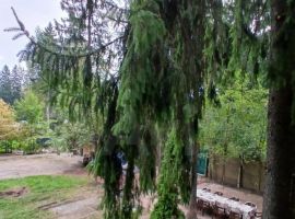 4-к. дом, 200 м² - . Краснознаменск - фото 6