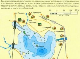2-к. дом, 36 м² - Ямская. Приозерск - фото 12
