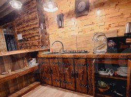 Дом 250 м² на участке 35 сот. - Главная (СНТ Нижние дойки массив N1 снт). Сертолово - фото 5
