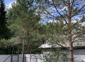 5-к. дом, 110 м² - 4-я линия (ДНТ Степной садовод тер.). Вырица - фото 2