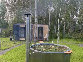 2-к. дом, 30 м² - Северная (СНТ Золотые пески N 1 снт). Синявино - фото 8