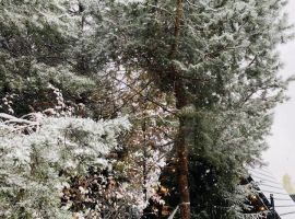 Дом 69 м² - Сосновая. Волоколамск - фото 19