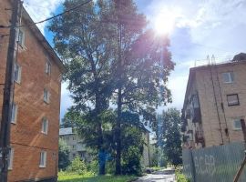1-к кв. Ленинградская область, Пикалево г. Бокситогорский район, Пикалевское городское поселение, ул. Школьная, 70 (29.0 м²) - школьная. Пикалево г. - фото 2