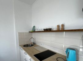 Студия Новосибирская область, Новосибирск ул. Фрунзе, 49/2 (34.0 м²) - Фрунзе. Новосибирск - фото 2