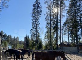 3-к. дом, 93 м² - Томская. Сертолово - фото 10