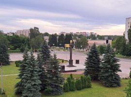 1-к кв. Ленинградская область, Тихвин 4-й мкр, 1 (31.0 м²) - . Тихвин - фото 12