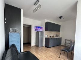 Студия Ленинградская область, Кировск Новая ул., 27 (25.0 м²) - Каштановая. Кировск - фото 2