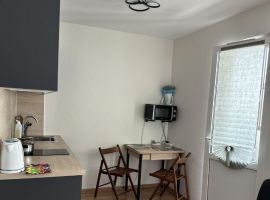 Студия Ленинградская область, Кировск Новая ул., 27 (25.0 м²) - Каштановая. Кировск - фото 3