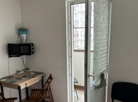 Студия Ленинградская область, Кировск Новая ул., 27 (25.0 м²) - Каштановая. Кировск - фото 4