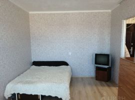 1-к кв. Псковская область, Опочка ул. Раи Гавриловой, 3 (33.0 м²) - . Опочка - фото 1