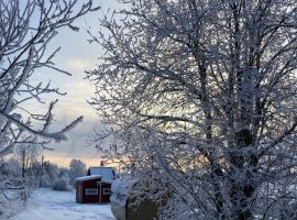 2-к. дом, 39 м² - Береговая (ТСГ N 709 тер). Великий Новгород - фото 12