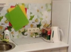 1-к кв. Новосибирская область, Кольцово рп 15 (33.2 м²) - . Кольцово рп - фото 6