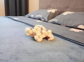 1-к кв. Рязанская область, Рязань Олимпийский городок мкр, 1 (28.0 м²) - . Рязань - фото 1