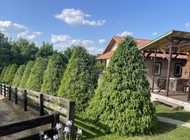 Дом 80 м² на участке 50 сот. - Центральная (19 км Московского шоссе тер. Лебедянь - фото 16