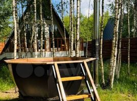 Дом 55 м² на участке 3 га - . Новопетровское - фото 2