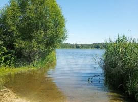 Дом 82 м² на участке 12 сот. - Набережная (Орлов Овраг тер.). Липецк - фото 15