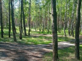 Дом 82 м² на участке 12 сот. - Набережная (Орлов Овраг тер.). Липецк - фото 16
