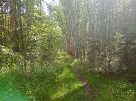 Дом 82 м² на участке 12 сот. - Набережная (Орлов Овраг тер.). Липецк - фото 17