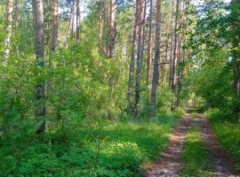Дом 82 м² на участке 12 сот. - Набережная (Орлов Овраг тер.). Липецк - фото 18