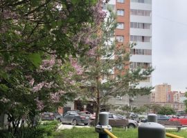 1-к кв. Новосибирская область, Новосибирск ул. Фрунзе, 51 (32.0 м²) - Фрунзе. Новосибирск - фото 13
