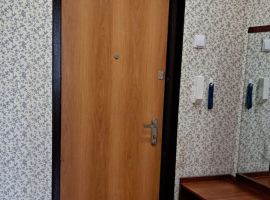 1-к кв. Пермский край, Соликамск просп. Ленина, 33 (30.2 м²) - Ленина. Соликамск - фото 4