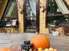 1-к. дом, 40 м² - Южная (СНТ Прогресс снт). Омск - фото 1