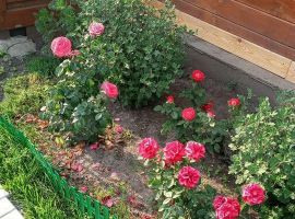 2-к. дом, 42 м² - . Новосибирск - фото 14