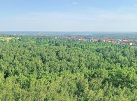 2-к кв. Новосибирская область, Новосибирск Выборная ул., 106/1 (45.0 м²) - . Новосибирск - фото 9