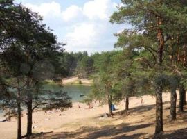 2-к. дом, 70 м² - Республиканская. Лодейное поле - фото 17