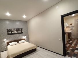 1-к кв. Оренбургская область, Оренбург пер. Солдатский, 70 (35.0 м²) - . Оренбург - фото 1