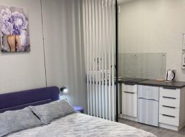 Студия Московская область, Одинцово Северная ул., 9 (28.0 м²) - Северная (СНТ Золотые пески N 1 снт). Одинцово - фото 4