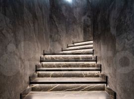 10-к. и более дом, 1339 м² - Береговая (ТСГ N 709 тер). Сосновый Бор - фото 9