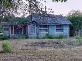Дом 50 м² на участке 12 сот. - Железнодорожная (Орлов Овраг тер.). Луга - фото 2