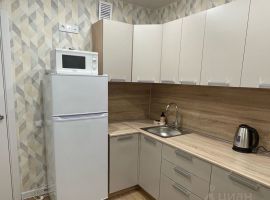 1-к кв. Псковская область, Псков Инженерная ул., 125 (35.4 м²) - . Псков - фото 4