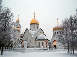 1-к кв. Нижегородская область, Нижний Новгород ул. Маршала Голованова, 69 (29.2 м²) - . Нижний Новгород - фото 14