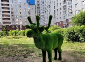 1-к кв. Омская область, Омск просп. Комарова, 21 (45.0 м²) - . Омск - фото 14