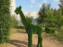 1-к кв. Омская область, Омск просп. Комарова, 21 (45.0 м²) - . Омск - фото 17