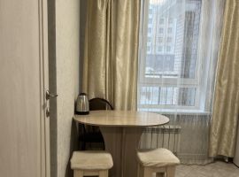 1-к кв. Новосибирская область, Новосибирск ул. Фрунзе, 252/1 (32.0 м²) - Фрунзе. Новосибирск - фото 4