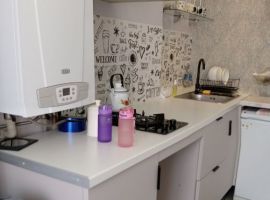 1-к кв. Нижегородская область, Нижний Новгород Рыбный пер., 5/9 (43.0 м²) - . Нижний Новгород - фото 9