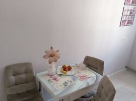 1-к кв. Нижегородская область, Нижний Новгород Рыбный пер., 5/9 (43.0 м²) - . Нижний Новгород - фото 12