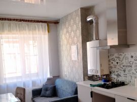 1-к кв. Нижегородская область, Нижний Новгород Рыбный пер., 5/9 (43.0 м²) - . Нижний Новгород - фото 19