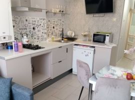 1-к кв. Нижегородская область, Нижний Новгород Рыбный пер., 5/9 (43.0 м²) - . Нижний Новгород - фото 3