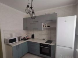 1-к кв. Омская область, Омск ул. Крупской, 27к2 (46.0 м²) - Крупской. Омск - фото 4