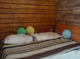 2-к. коттедж, 60 м² - Подгорная. Омск - фото 5