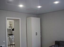 1-к кв. Курганская область, Шадринск Пионерская ул., 30 (24.5 м²) - Пионерская. Шадринск - фото 3