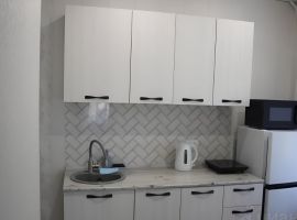 1-к кв. Курганская область, Шадринск Пионерская ул., 30 (24.5 м²) - Пионерская. Шадринск - фото 5