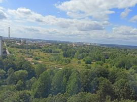 1-к кв. Орловская область, Орел ул. Кузнецова, 30к1 (44.6 м²) - . Орел - фото 14