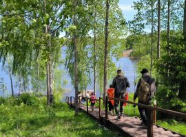 Коттедж 60 м² на участке 2 га - Береговая (ТСГ N 709 тер). Каменногорск - фото 14